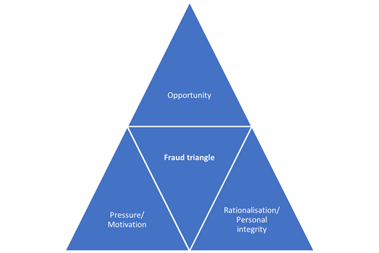 Elsiarc - Why use fraud resilience reviews?
