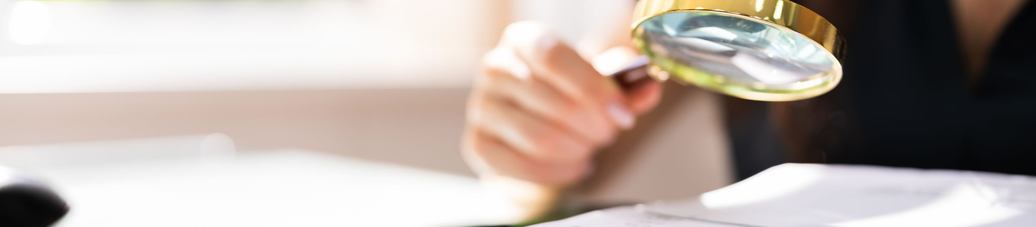 Elsiarc - Why use fraud resilience reviews?